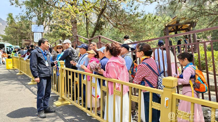 春意盎然文旅盛 市场活力展现——2025年清明假期回顾 春意盎然文旅盛 市场活力展现——2025年清明假期回顾